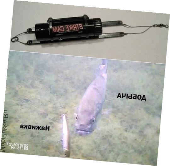 Какая экшн камера лучше